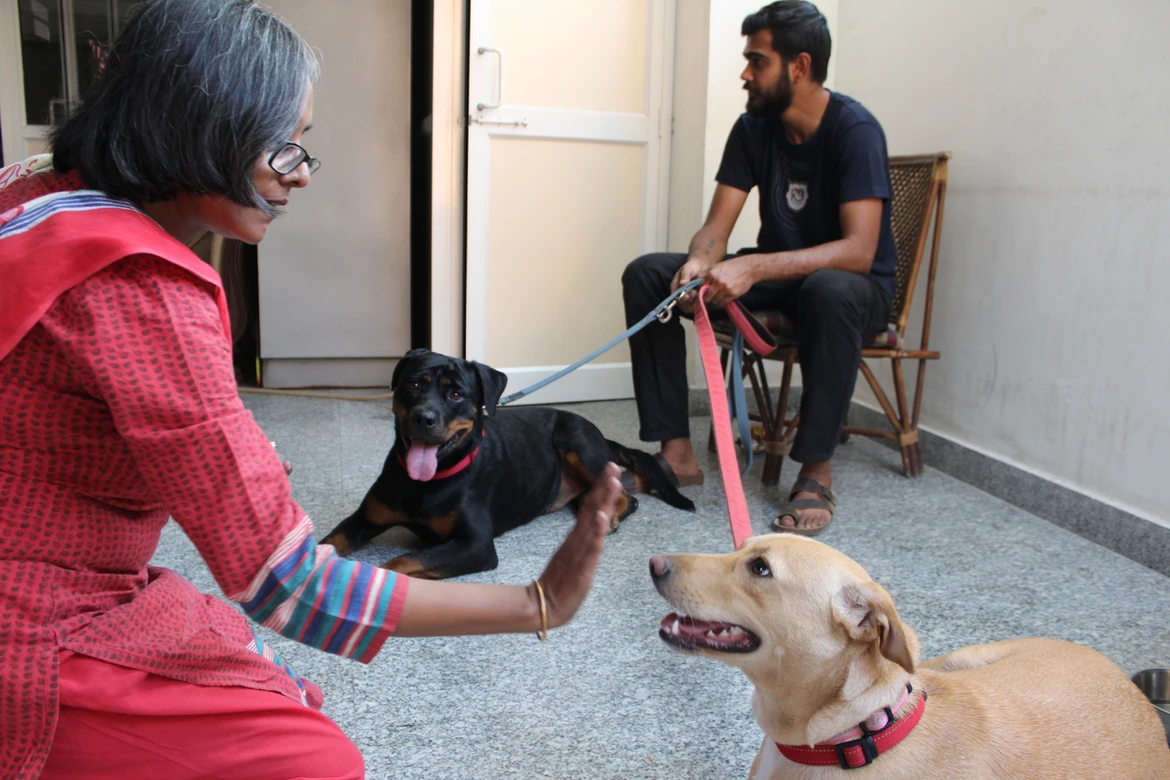 Therapy Dogs Stella & Phulki Make Friends at Udayan Care