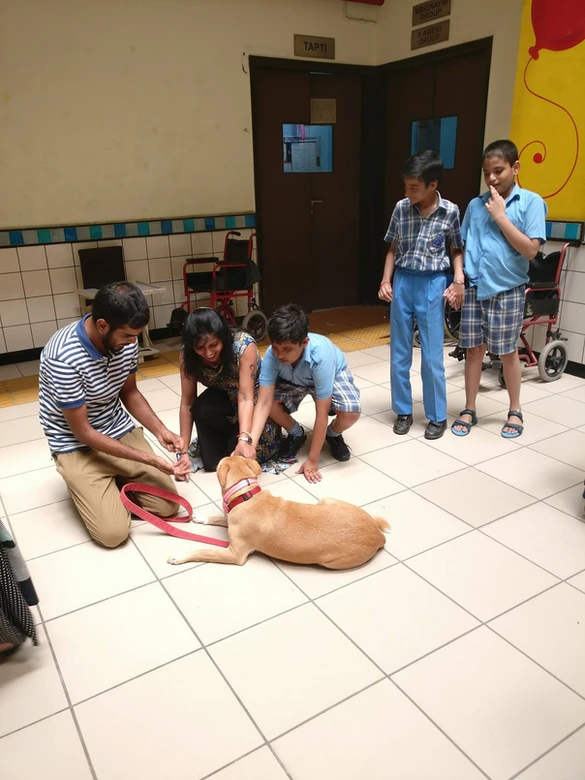 Phulki the Indie visits a special school: K9 Healers Program