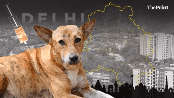 Dog Bites & Rabies Deaths | What Data Reveals Behind Stray Dogs Debate