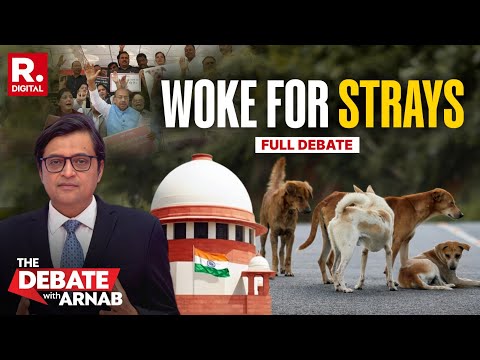 Stray Dog Order Sparks Debate on National TV
