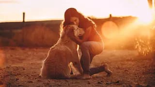 Anxiety, Stress, Burnout? Your dog might be the best Therapist you'll ever have 