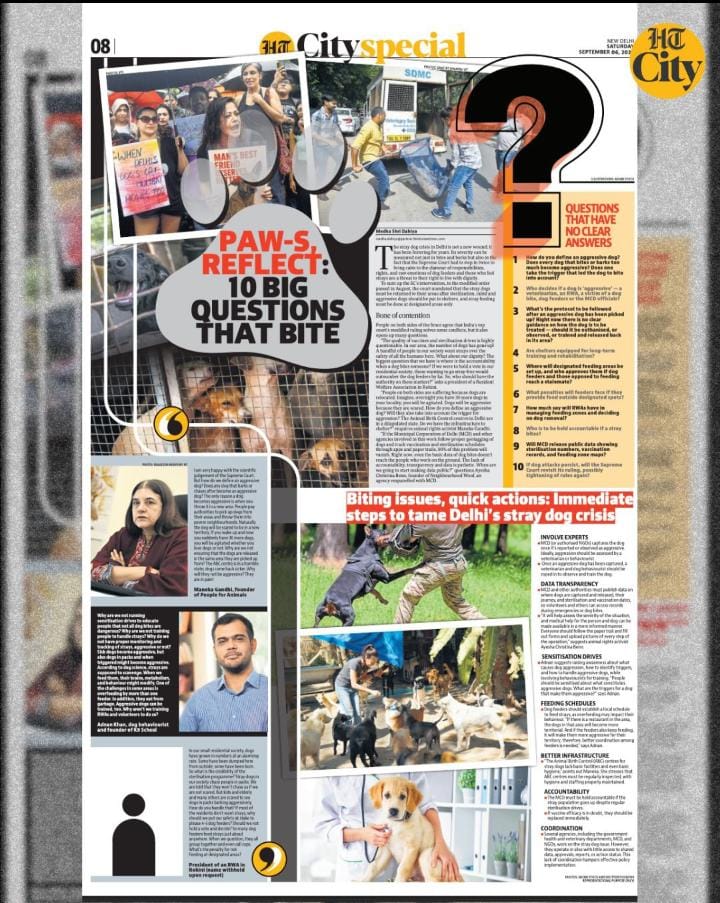 Paws and Reflect: 10 big questions that bite. After the SC verdict on stray dogs, the city has questions and suggestions