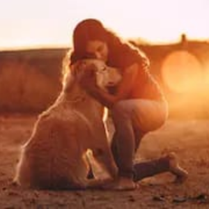 Anxiety, Stress, Burnout? Your dog might be the best Therapist you’ll