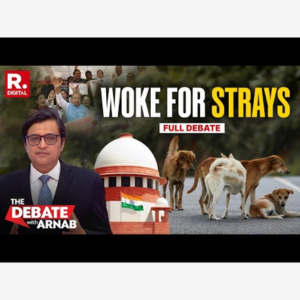 Stray Dog Order Sparks Debate on National TV