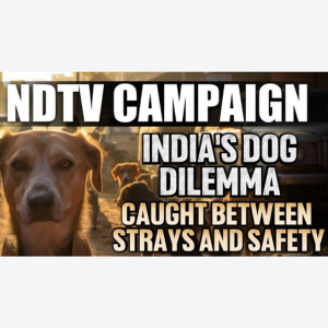 Stray Dog Attack | India’s Dog Dilemma: Can We Coexist
