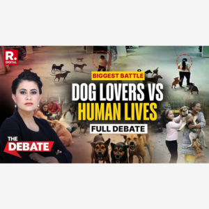 Debate: Does India Have the Largest Stray Dog Crisis in the