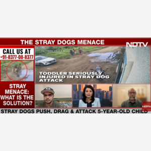 Stray Dog Attack | How To Handle Stray Dog Crisis In India,