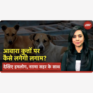 NDTV’s Live Debate on Stray Dogs with Adnaan Khan