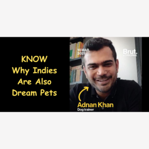More Indie Adoptions – Brut India