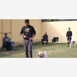 K9 School India educates pet lovers through seminar