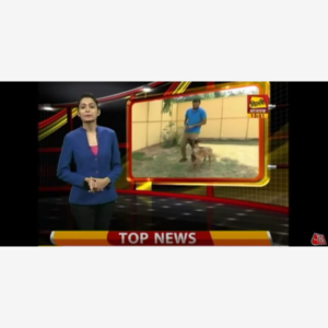 K9 School Featured in Aaj Tak News Channel