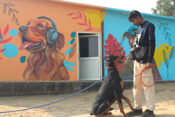 Dog Trainer In Delhi Ncr