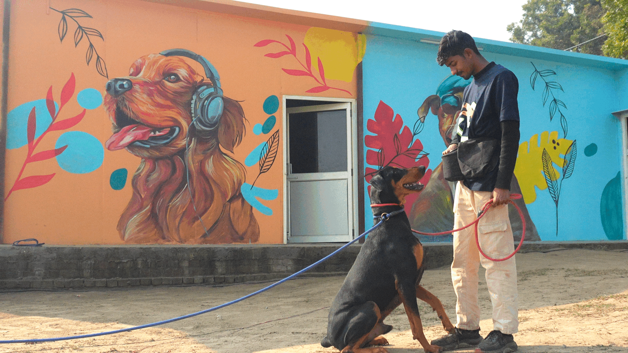 Dog Trainer In Delhi Ncr