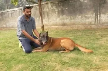 Dog Boarding