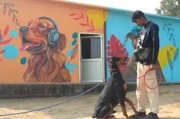 Security Dogs